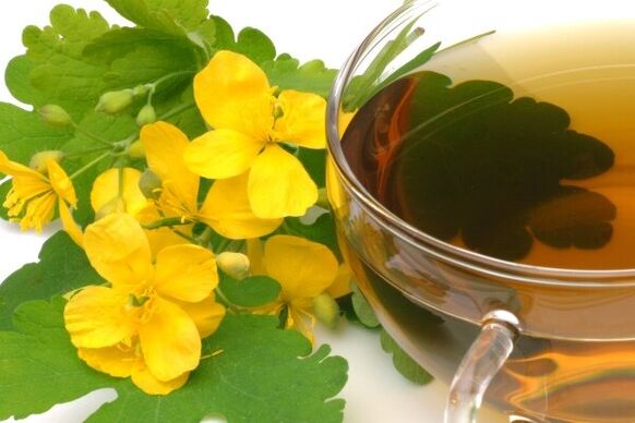 infuzija celandina za liječenje prostatitisa